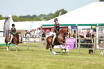 SBM_15750