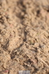 230915A-103346-00178