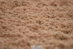 230630A-155948-03265