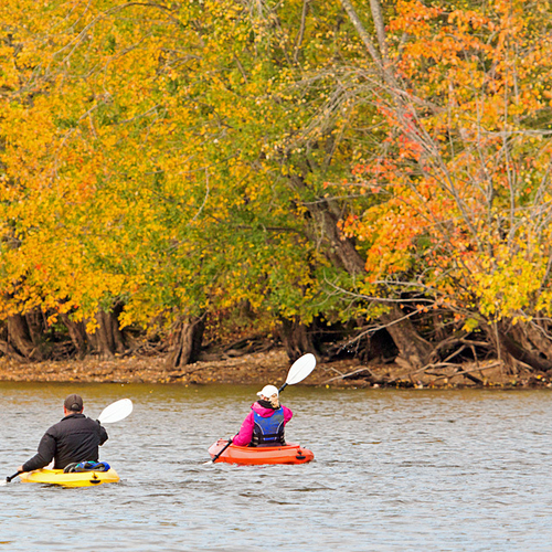Kayaking the Kennebecasis in autumn.