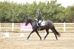 SBM_003985