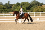 SBM_006970