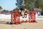 SBM_34447