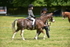20260614-1356