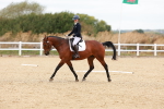 SBM_000998