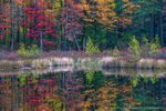 Red Eagle Reflections