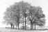 Playing in the park, Heavitree Pleasure Grounds, Exeter