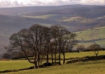 Bradfield Dale (01)