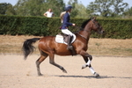 20260809-0845
