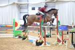 SBM_003900