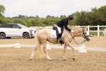 SBM_000833