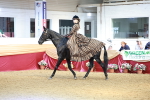 SBM_13473