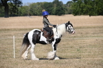 WJ6_9138