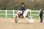 SBM_000676