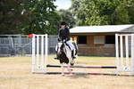 WJ6_5339