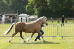 SBM_02052