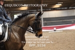 BPP_9258