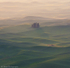 Misty Palouse