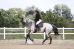 SBM_016844