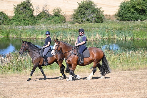 WJ7_7321