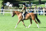 SBM_50373
