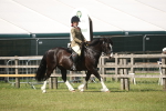 SBM_09133