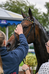 030726-Race 2-Tropical Crown-0636