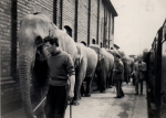 Betram Mills at Derby Station 30
