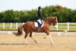 SBM_006932