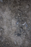 SBM_006192