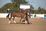 SBM_08396