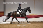 BPP_2793