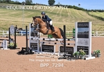 BPP_7294