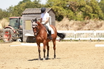 SBM_002958