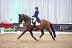 SBM_010337