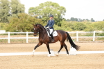 SBM_001985