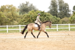 SBM_002806