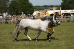 SBM_07635