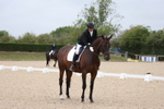 Unaffiliated Dressage portfolio