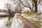 Bridge 29 Macclesfield Canal (2)