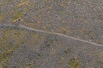 Uphill Only-359