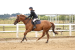 SBM_026838