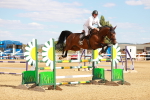 SBM_007293