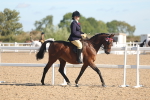 SBM_12273
