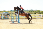 SBM_006230