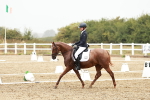 SBM_003960