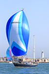 190629 OLYMPIA'S TIGRESS GBR8405R 1Y3A9358