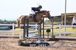 BPP_2491