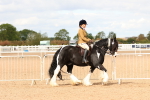SBM_15654