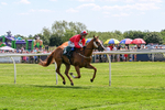 300526-Race 2-Im Dan Dare-0333